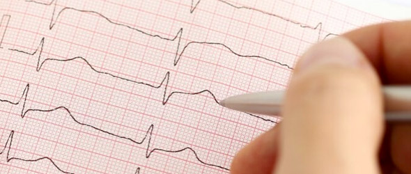 Linee guida Fa: l'educazione digitale chiave per l'implementazione