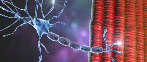 Atrofia muscolare spinale: progressi per diagnosi e terapie personalizzate