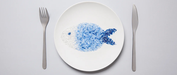  Microplastiche e alterazioni del microbiota intestinale