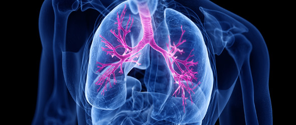 Dalla ricerca alla terapia: il futuro delle bronchiectasie con brensocatib