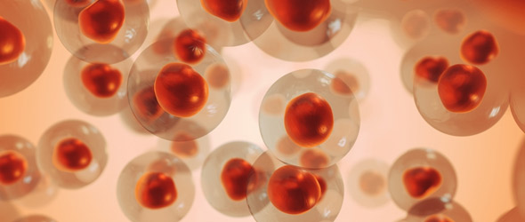 Melanoma e ‘immunoncologia di precisione': novità dall'Asco