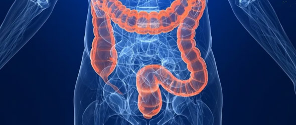 Tumore metastatico del colon-retto : nuove prospettive terapeutiche